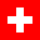 flag icon